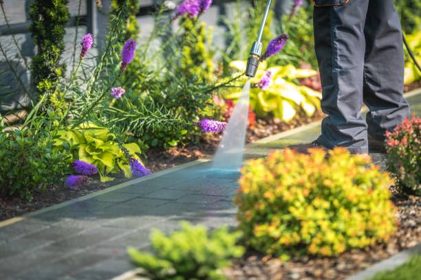 Best Patio and Deck Pressure Washing  in Branchville, SC