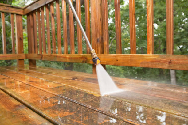 Best Solar Panel Cleaning  in Branchville, SC